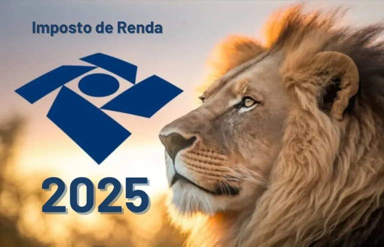 Restituição 2025 - Contabilidade em Angra dos Reis | Liquidez Contabilidade